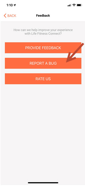 bug.jpg