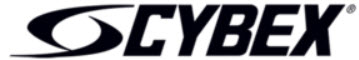 cybe.jpg